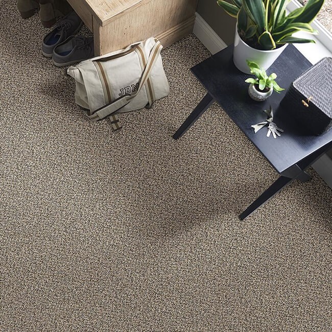 Carpet flooring | America's Flooring Store