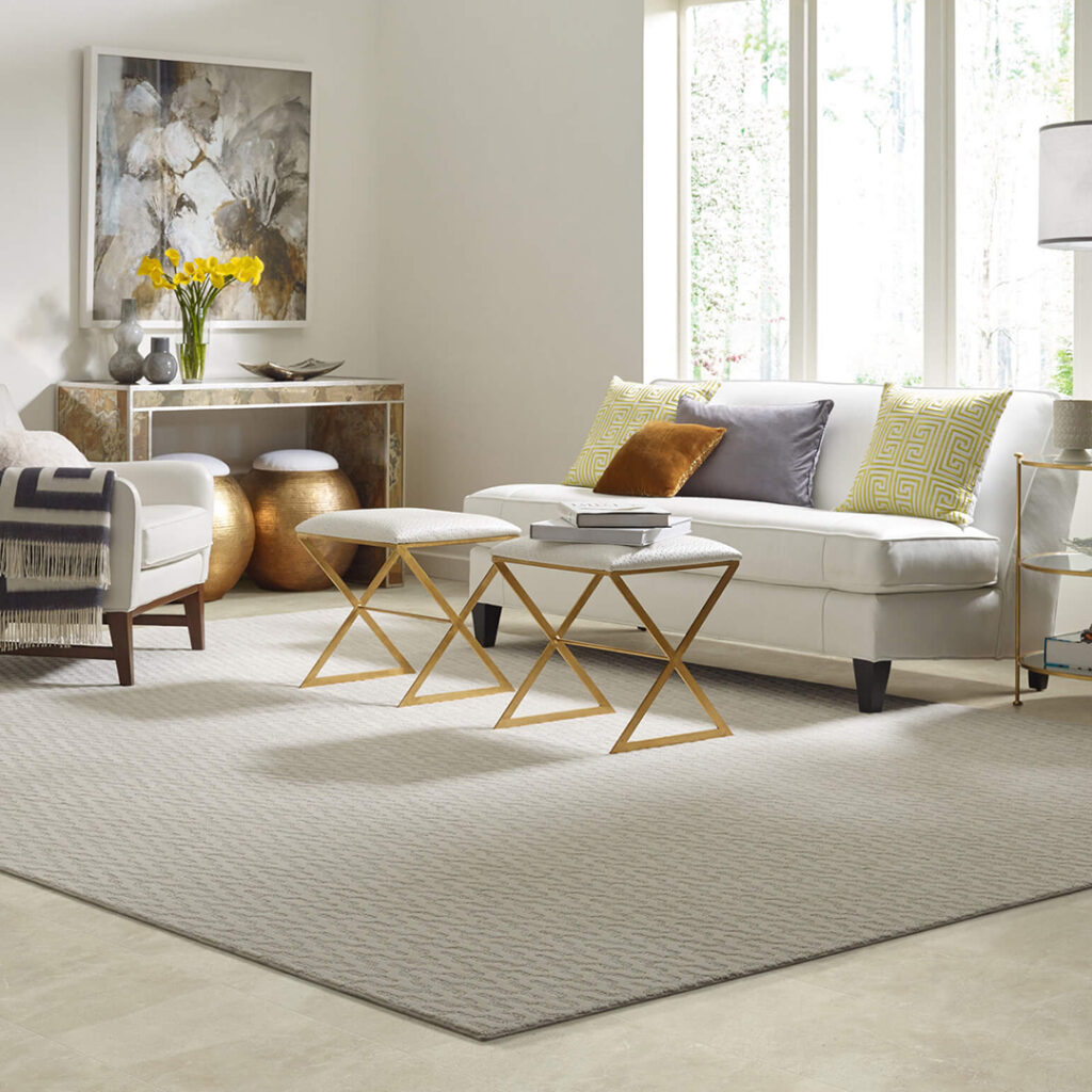 Area rug | America's Flooring Store